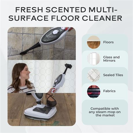Steam & Go 8-in-1 Floor & Grout Cleaner