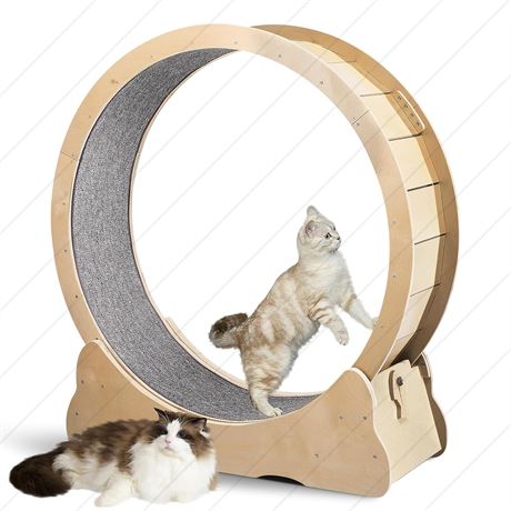 43" Cat Wheel Exerciser for Large Cats