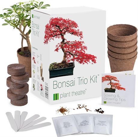 Bonsai Tree Kit - Indoor w/ Seeds, Pots