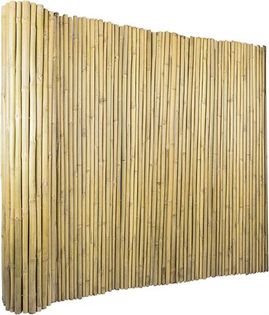 4Ft x 8Ft x 0.7In Bamboo Screen by Jollybower
