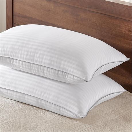 Queen Pillows Set of 2 - 20x28 Inches, White
