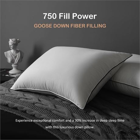 HYVIF Luxury Goose Down Pillow 20x28