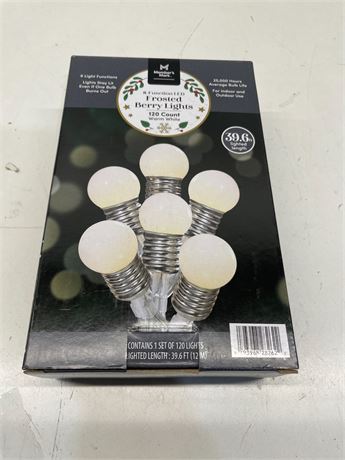 Members Mark 8 Function LED Frosted Berry Lights 120 Count Warm White