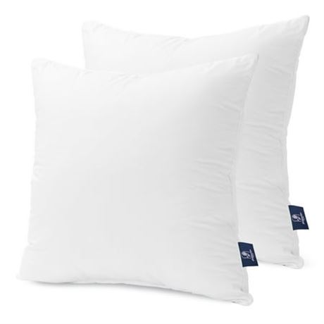 Phantoscope 18x18 Throw Pillow Inserts, 2 Pack