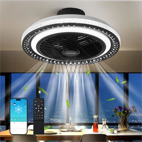 XuanDe 20 Fan with Lights, Remote, DC Motor