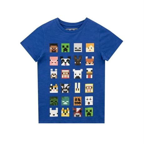 Minecraft Boys Short Sleeve T-shirt Sizes 6-14
